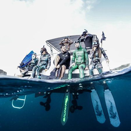 ホテル ペーパーバーク キャンプ Woollamia エクステリア 写真